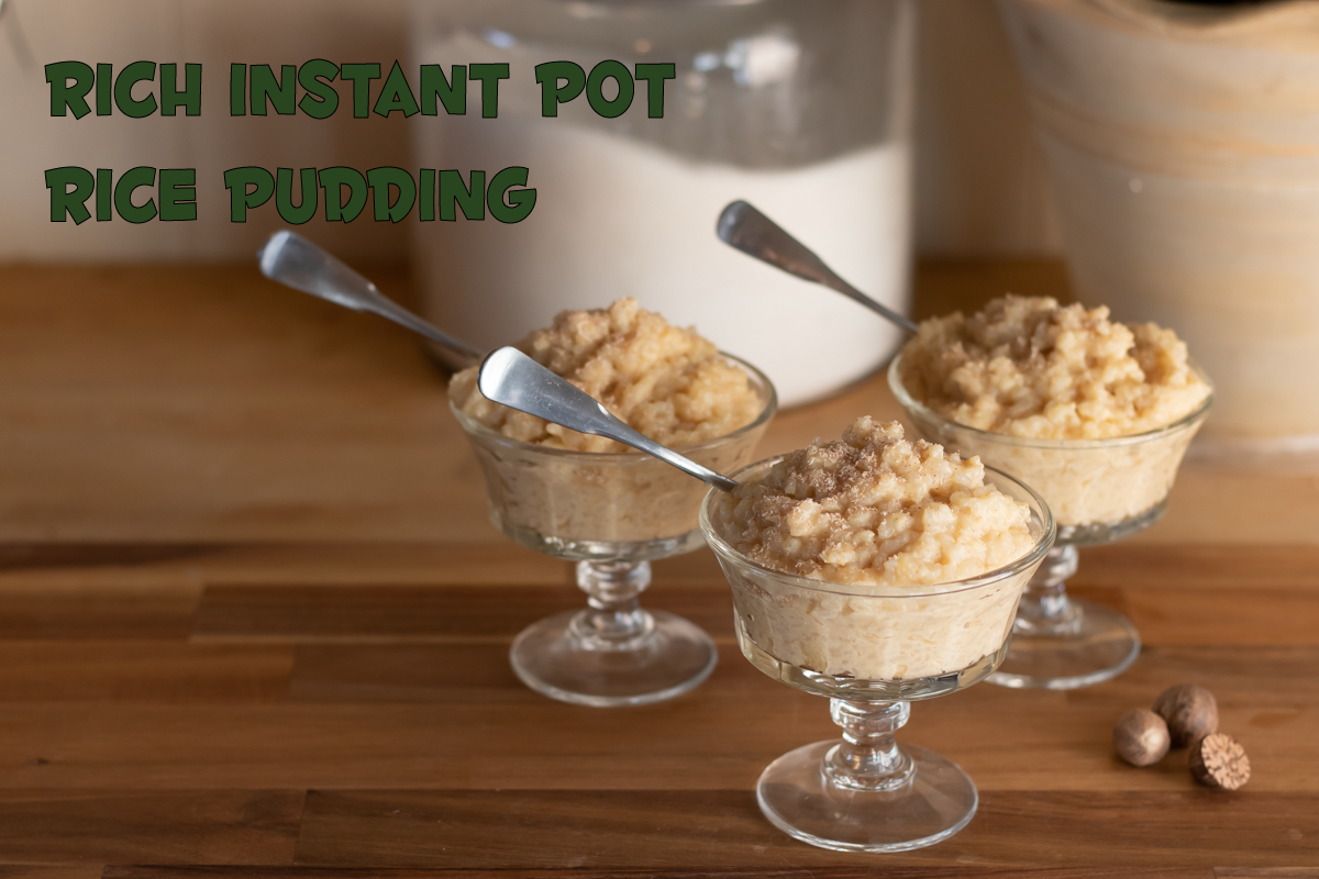 Title shot for Rich Instant Pot Rice Pudding
