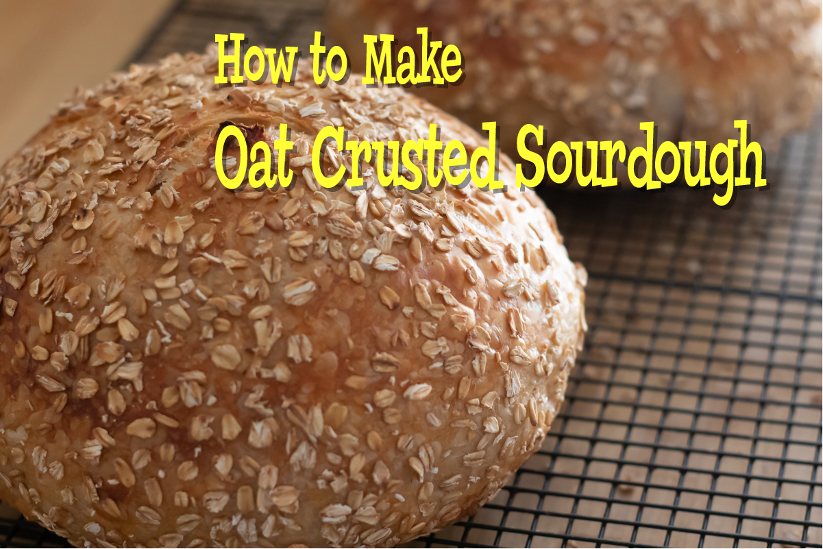 title oat crusted sourdough