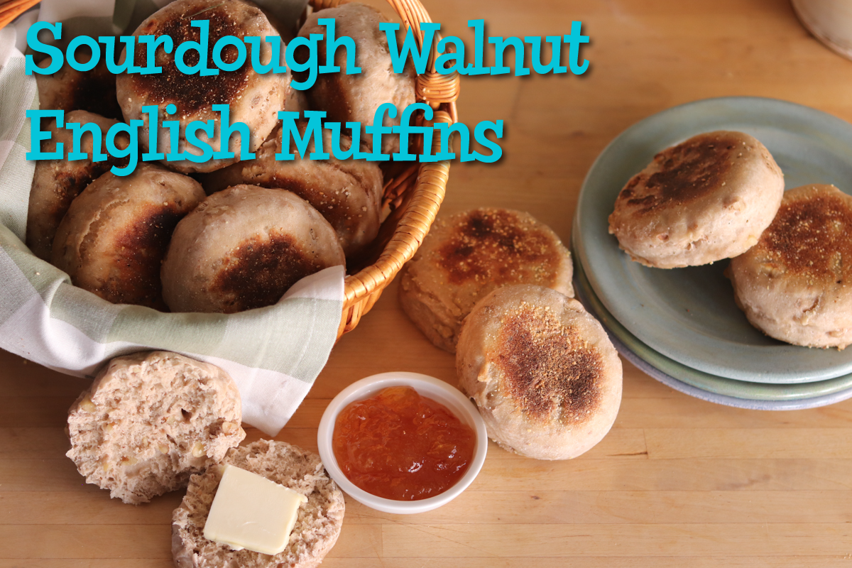 Sourdough Walnut English Muffins Title page
