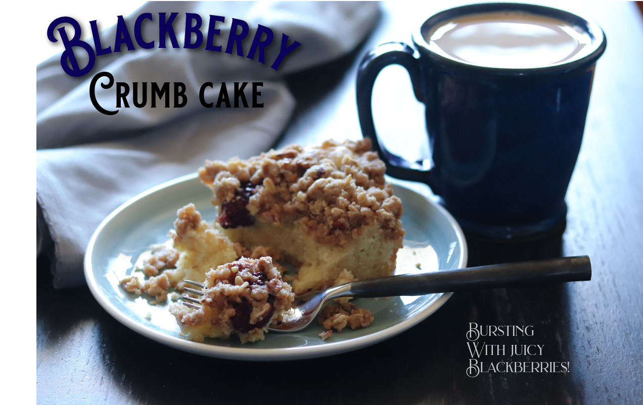 Blackberry Crumb Cake instagram