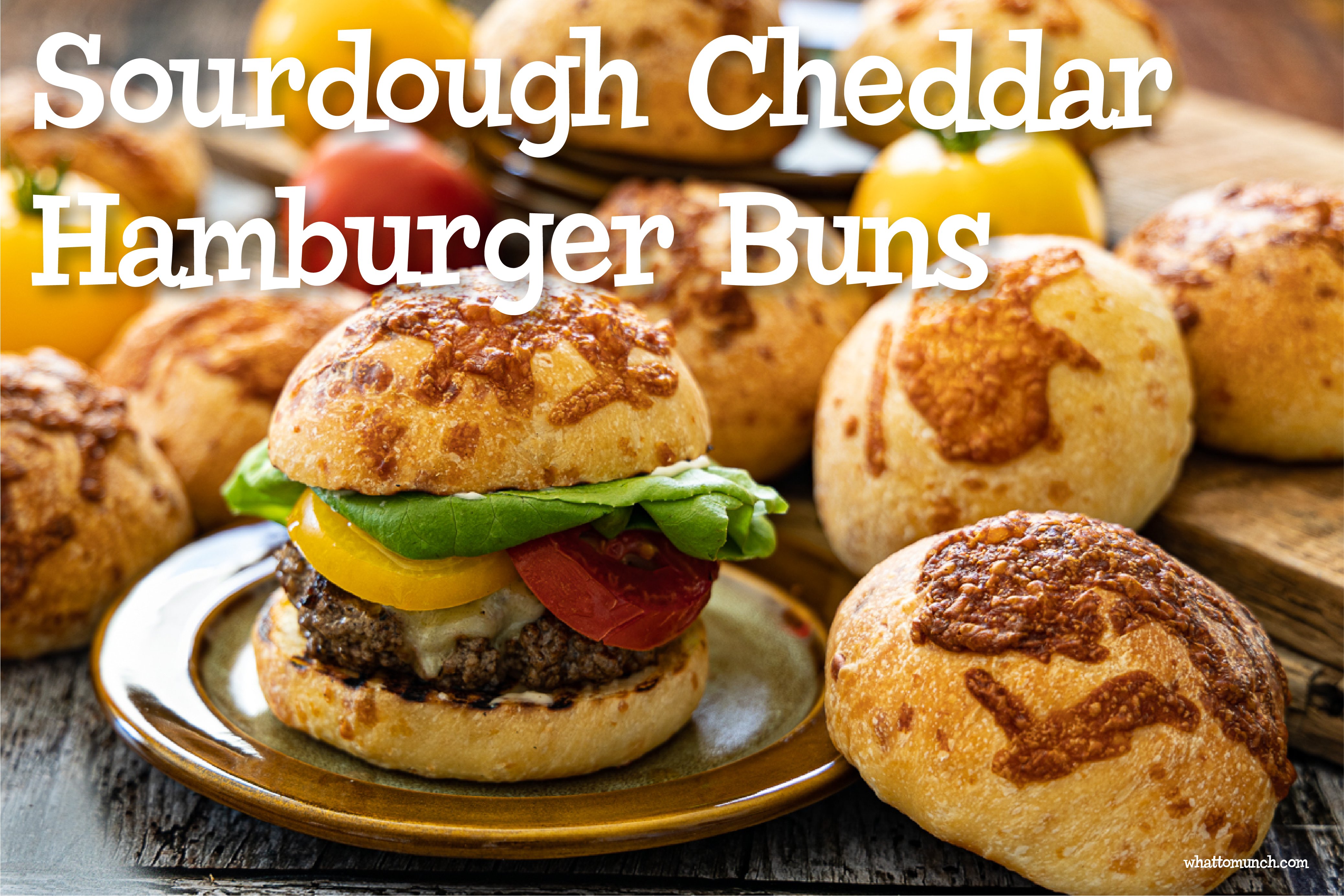 Sourdough Cheddar Hamburger Buns