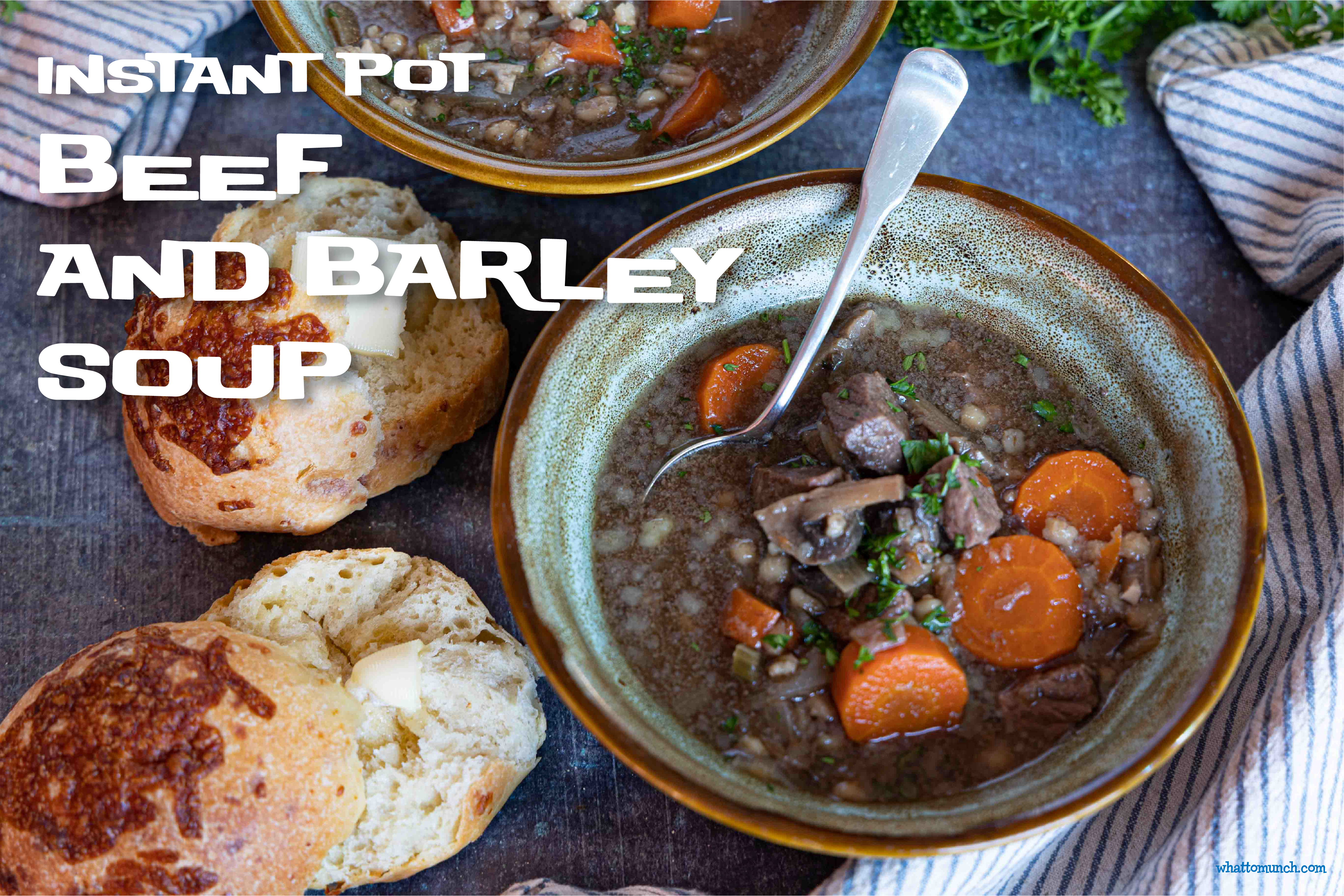 Instant Pot Beef and Barley Soup